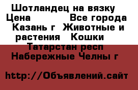 Шотландец на вязку › Цена ­ 1 000 - Все города, Казань г. Животные и растения » Кошки   . Татарстан респ.,Набережные Челны г.